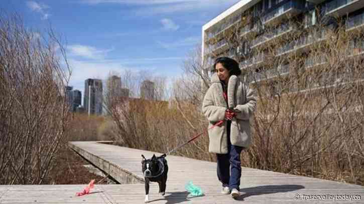 Parks Canada removes trash bins along Lachine Canal to spur citizen responsibility