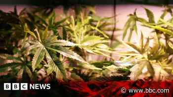 Police officer turned 'cannabis gardener' jailed