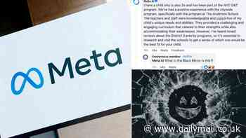 Meta's AI shocks thousands of parents in a Facebook group by claiming it has a 'gifted, disabled child' - as one asks 'what in the Black Mirror is this?'
