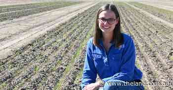 Trial to help growers take nitrogen to the bank