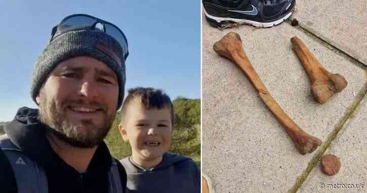 Boy, 7, told his ‘dinosaur’ bones found at the beach are actually human remains