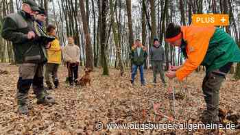 Zwischen Jagd und Waldschutz: Ein Balanceakt in Neuburg