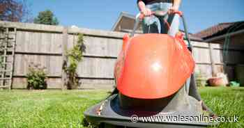 Gardening pro says exactly when to start cutting grass once a week