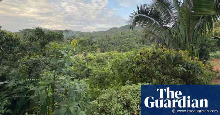 ‘We can’t hunt or fish’: the villages in Ecuador’s Amazon surrounded by abandoned explosives