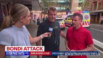 Westfield Bondi Junction: Joe Tomarchio saw Ashlee Good and her baby daughter Harriet get stabbed by Joel Cauchi and leapt into action to save the little girl''s life. But it wasn't the first time he'd been the hero of the hour