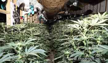 Large scale cannabis farm found at Littlehampton industrial estate