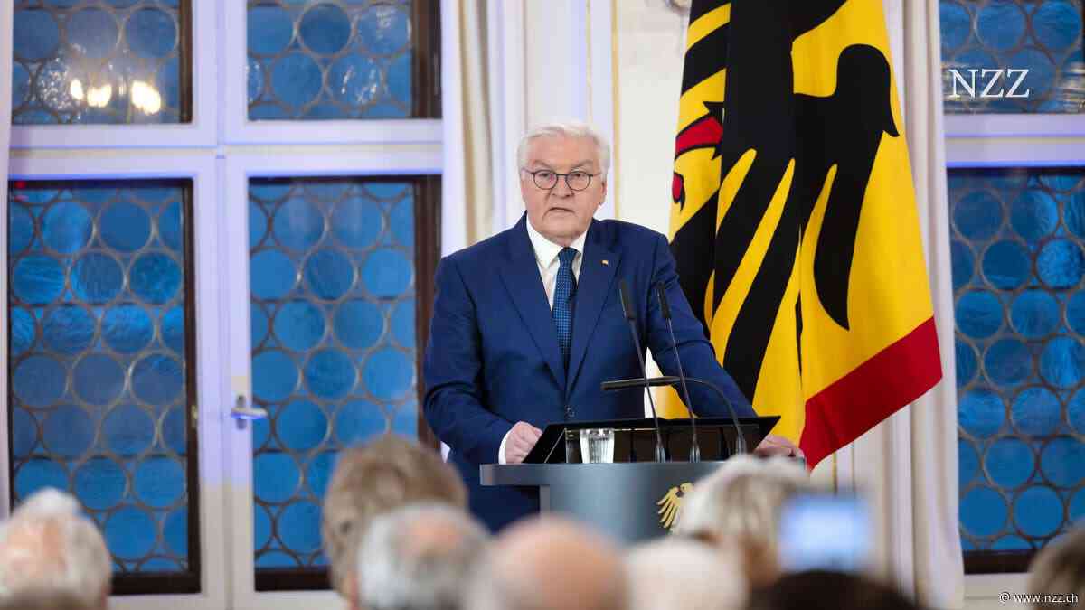 Präsident der Mehrheit: Frank-Walter Steinmeier verheddert sich beim Versuch, einen neuen Patriotismus auszurufen