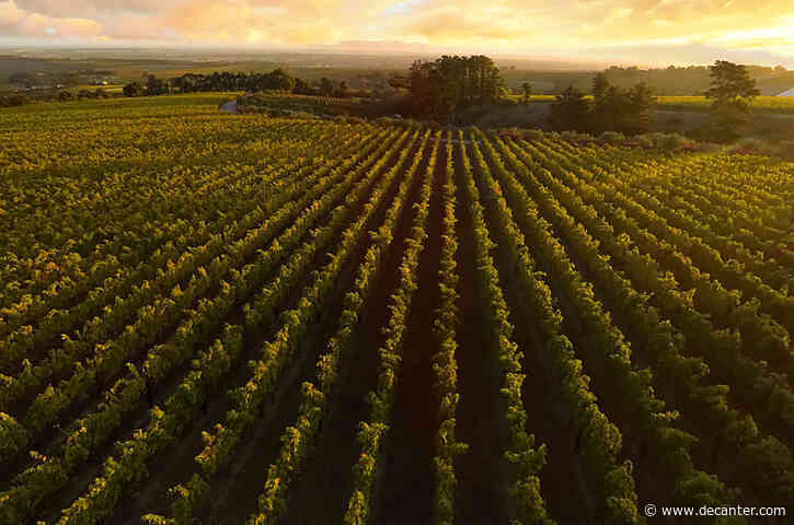 Polkadraai Hills: Regional profile and 10 top wines rated