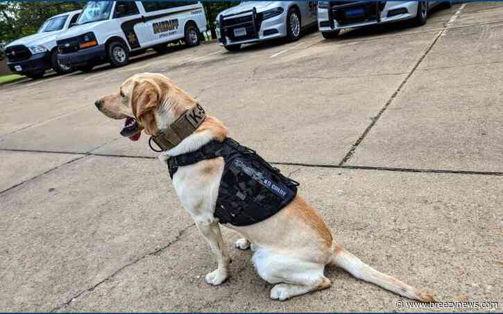 Local K-9 Officer, Colby, Receives Ballistic Vest Donation