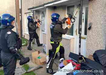 Four arrested after drugs raids executed in Netteswell