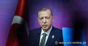 Erdogan in der Türkei: Wie der Präsident seine Gegner verfolgt