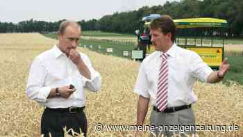 Putins freut’s: EU importiert viel mehr russischen Weizen – trotz Ukraine-Krieg