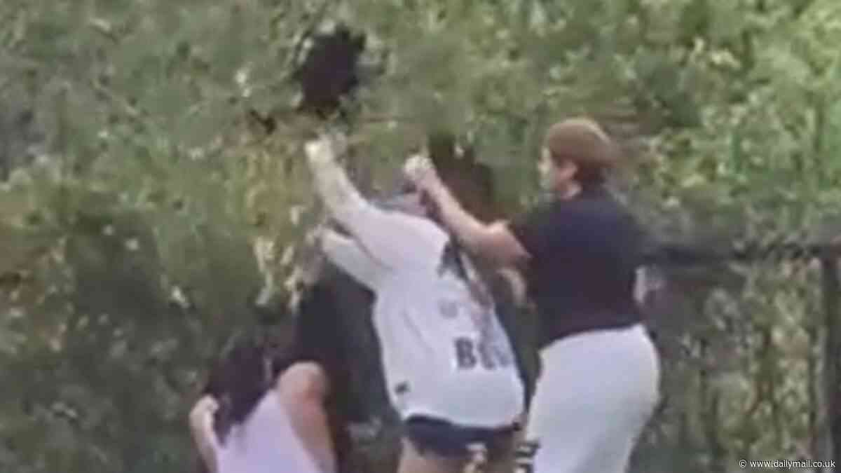 Moment group of North Carolina friends rip three terrified bear cubs out of tree to pose for selfies