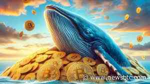 Here’s The Bitcoin Whale Who Dumped $1 Billion In BTC On Binance