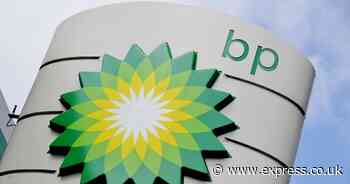 BP's new boss trims leadership team amid shake-up