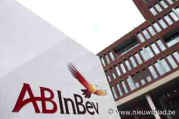 Omgevingsvergunning brouwerij AB InBev in Leuven vernietigd