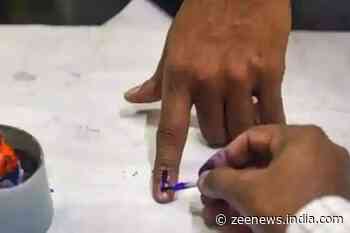 Lok Sabha Polls: Over 13.25 Voters To Decide Fate Of 3 Candidates In Nagaland On Friday