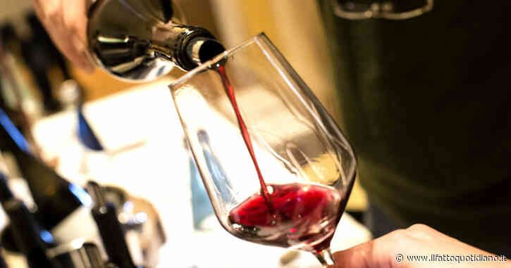 VinNatur Tasting 2024, il paradiso del vino naturale. Vi raccontiamo il nostro divino tour tra gusti mai sentiti e etichette pop