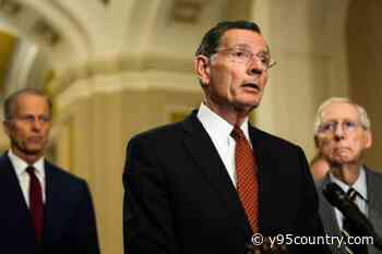 Barrasso Endorsed By Trump: Senate GOP Whip Race Heats Up