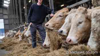 Frustrated farmers are rebelling against EU rules. The far right is stoking the flames