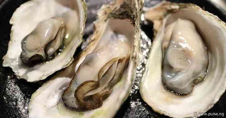 oysters benefits sexually