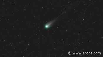 Will 'Devil Comet' 12P/Pons-Brooks survive its close encounter with the sun?