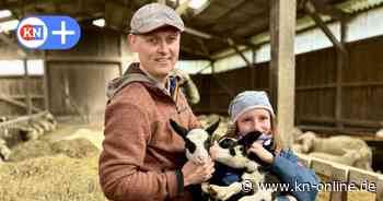 Schafskäse aus Schleswig-Holstein - vom Hof Solterbeck in Sorgwohld startet Produktion