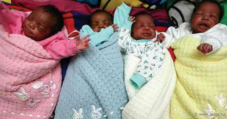 Woman births quadruplets via IVF after 15 yrs, JUTH celebrates success