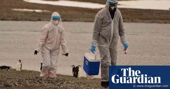 Risk of bird flu spreading to humans is ‘enormous concern’, says WHO