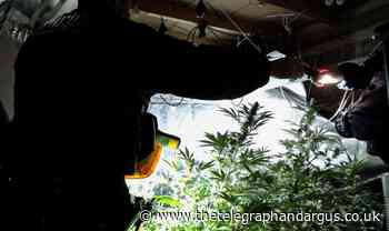 Wrose: Police launch probe after cannabis farm found