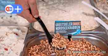 Auch in Kiel und Laboe: Krabbenpreise steigen rapide