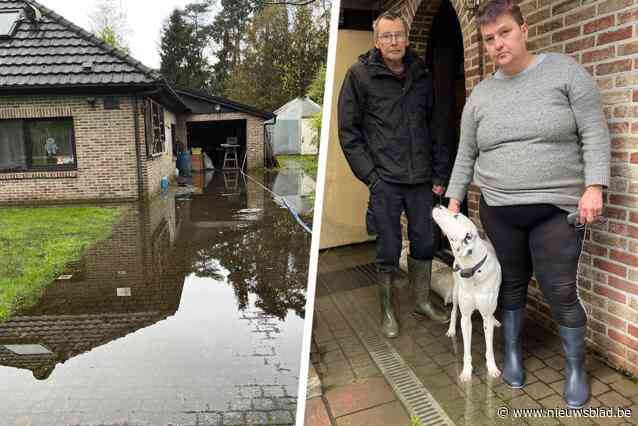 “Het water spuit uit onze vloer”: Daniel en Gerthy zijn radeloos na overvloedige regenval