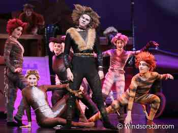 St. Clair College students bring Broadway musical CATS to Chrysler stage
