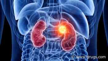 Improvement Seen in Survival With Adjuvant Pembrolizumab in Kidney Cancer