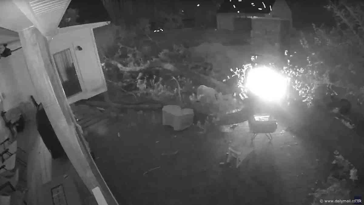 Virginia fathers narrowly avoid being crushed while sitting by backyard fire pit