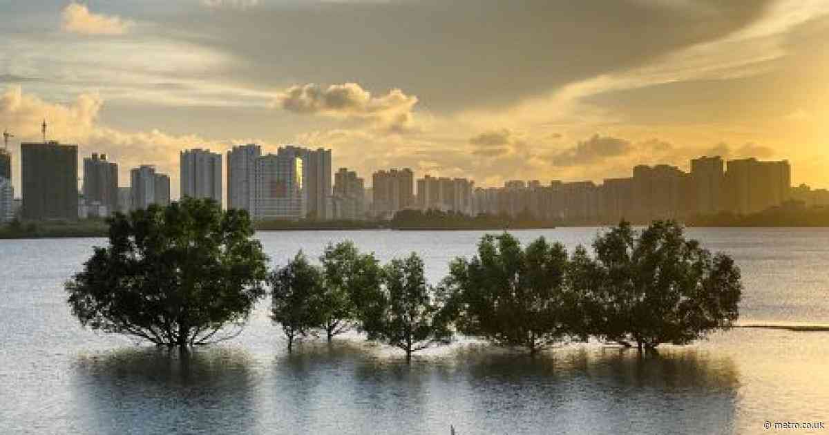 China’s cities are sinking – because there are too many people in them