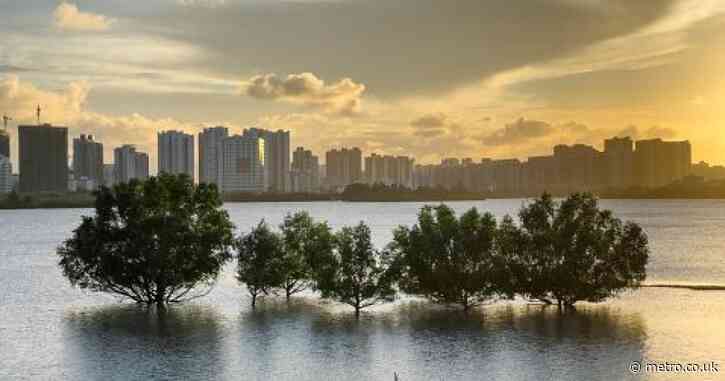 China’s cities are sinking – because there are too many people in them
