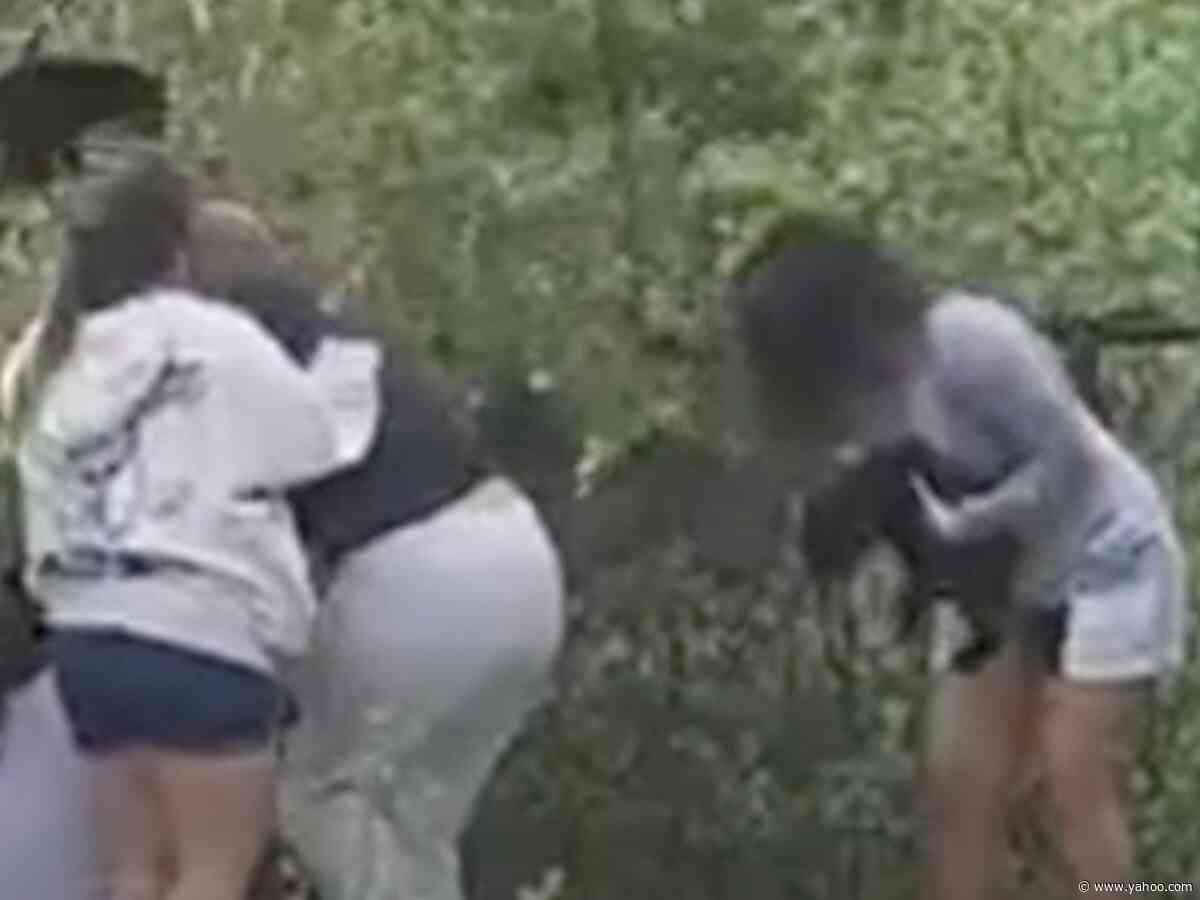 Disturbing moment people are seen tearing bear cubs from trees - and dropping them