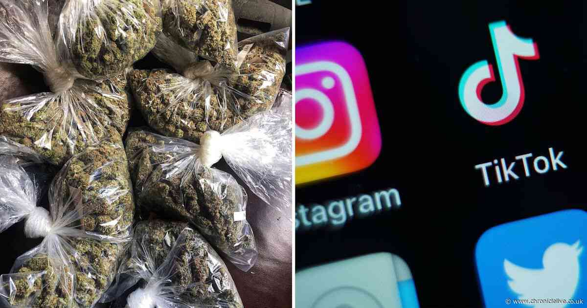 Pictures of drugs farms in UK cities including Newcastle posted on social media by Albanian influencers
