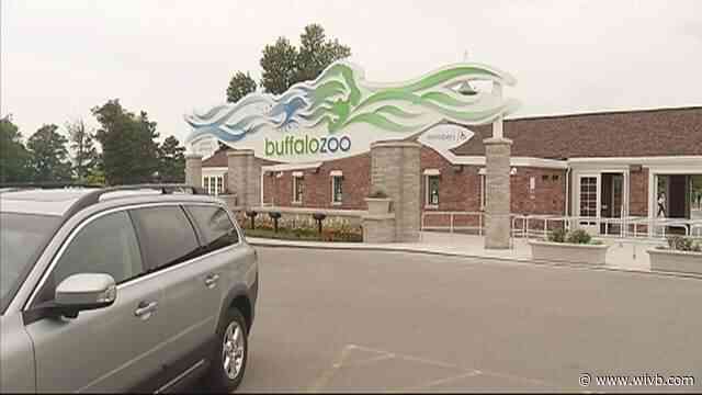 Buffalo Zoo defends decision to raise admission prices: 'raising prices is hard and unavoidable'