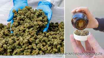 „Aberwitzige“ Preise für medizinisches Cannabis: „Deutlich günstiger als der Schwarzmarkt“