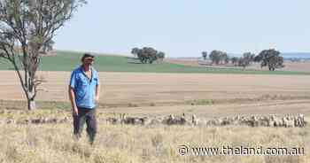 Higher stocking rates reaping rewards for Boorowa producer