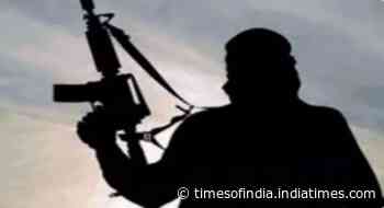 Maoists admit to death of 29 in Kanker operation