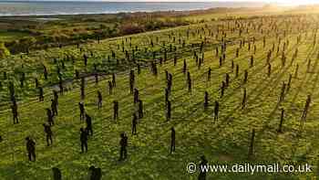 Standing in the shadows of giants: 1,475 statues fill the landscape beside D-Day memorial overlooking France's Gold Beach to honour each of the servicemen who fell during heroic mission