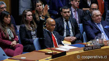 EEUU vetó en el Consejo de Seguridad la admisión de Palestina como Estado miembro de la ONU