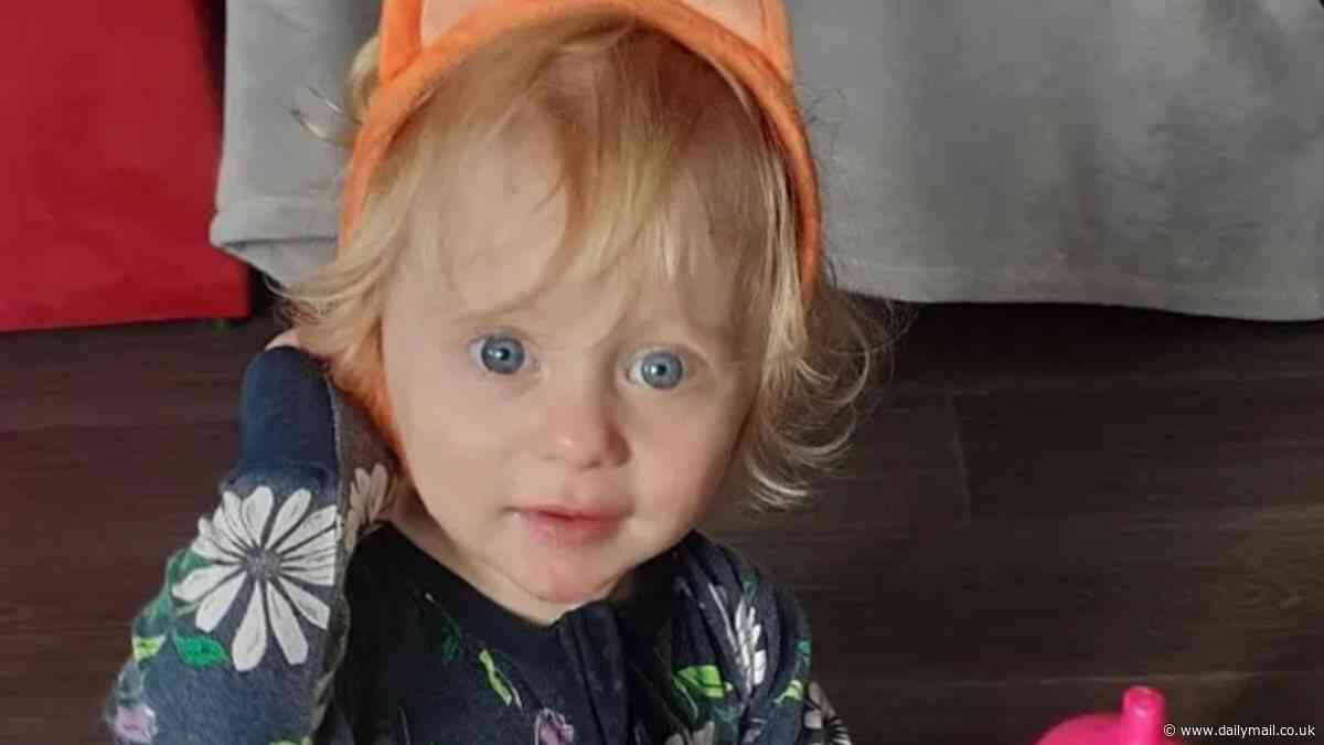 Grim update on toddler Evelyn hit by a refrigeration truck at Browns Plains as she was being pushed in a stroller by her mum