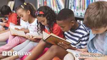 Lifeline for threatened school library service