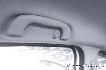Car drivers have only just only discovered what grab handles above the doors are really intended for