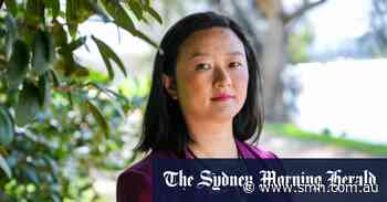 Labor ‘uses ethnically diverse to stack branches, not run as MPs’