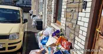 Inconsiderate parking stops bin lorries getting down streets and leaves residents 'swimming in rubbish'